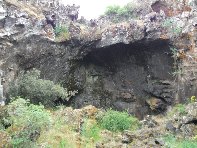 otta Intraleo-20100515 015